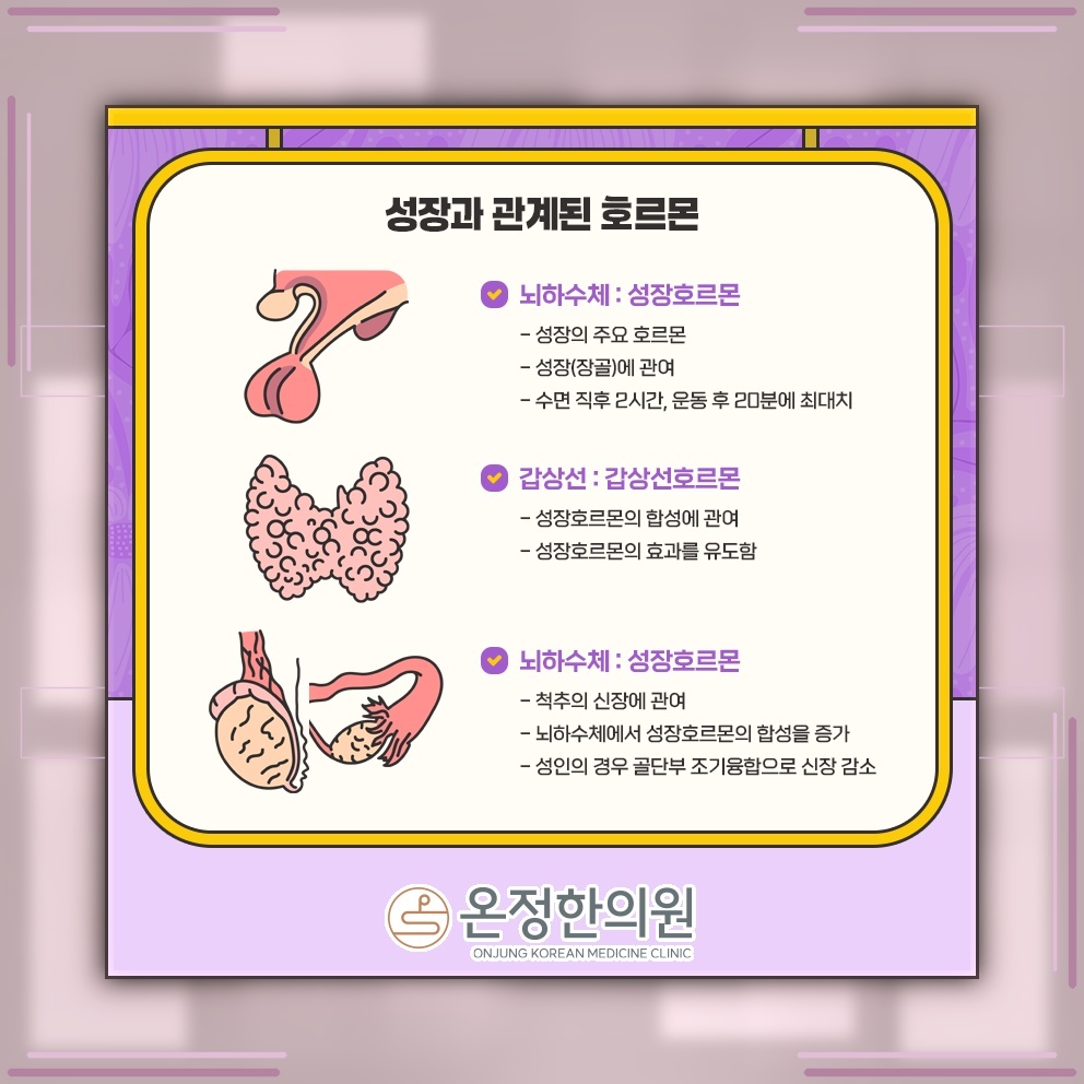 아이의 키 성장은 어느 시기에 활발하게 이뤄질까요
